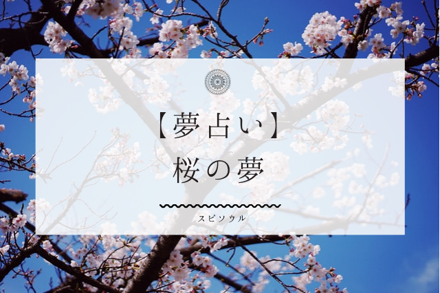 夢占い 桜の夢に関する９つの意味 一時的な幸運 トラブルを暗示 夢占い