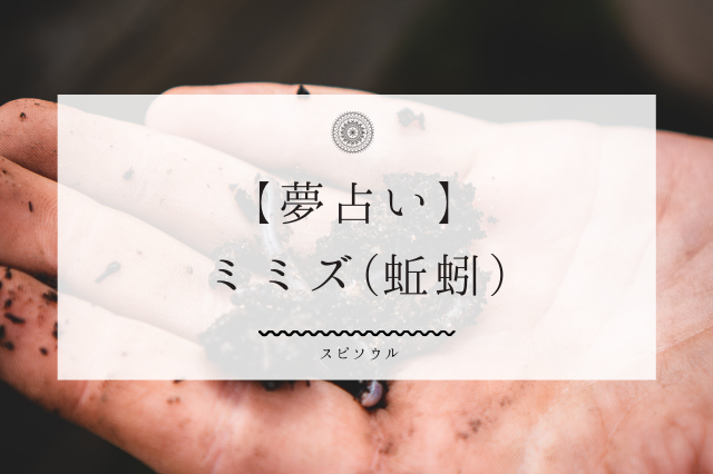 夢占い ミミズの夢に関する10個の意味 精神性 健康運を暗示 夢占い 夢占い ミミズの夢に関する10個の意味 精神性 健康運を暗示 夢占い